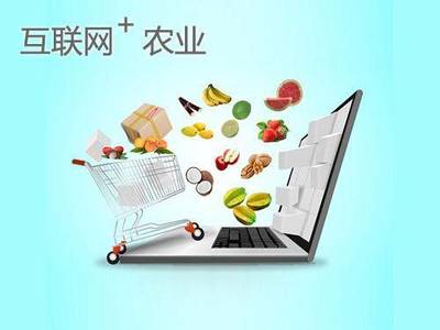 網紅帶貨日入四萬 如何將流量轉化為可持續的財富？